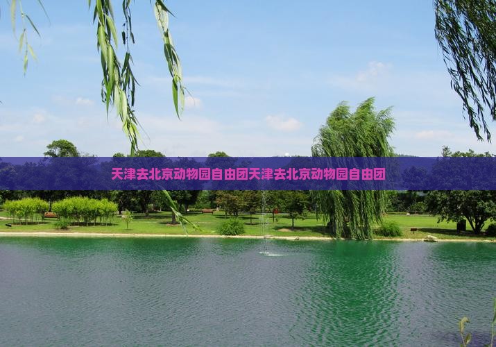 天津去北京动物园自由团