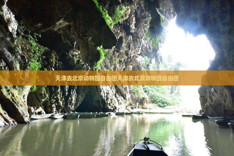 天津去北京动物园自由团