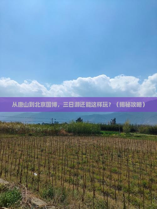 唐山到北京中国国家博物馆三日游
