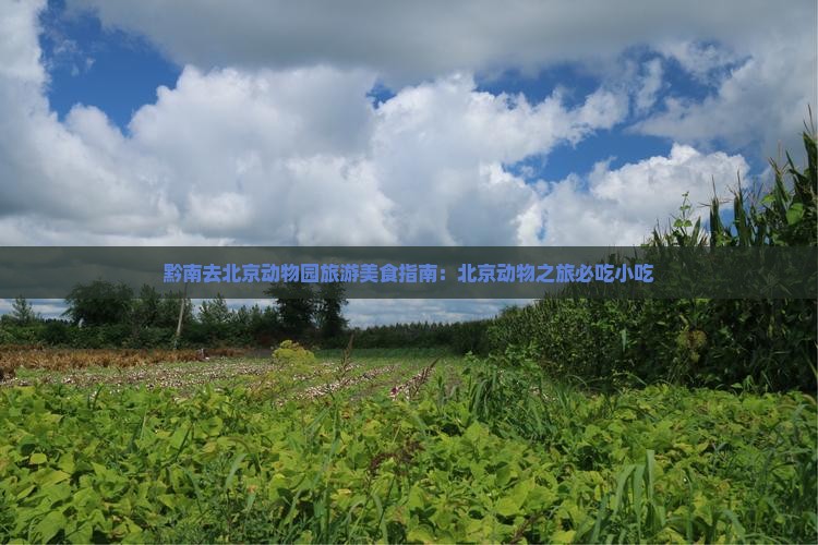 黔南去北京动物园旅游小吃