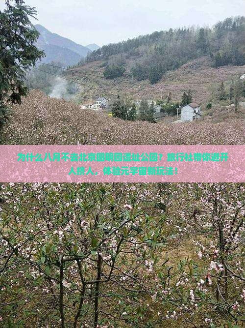 八月到北京圆明园遗址公园旅行社