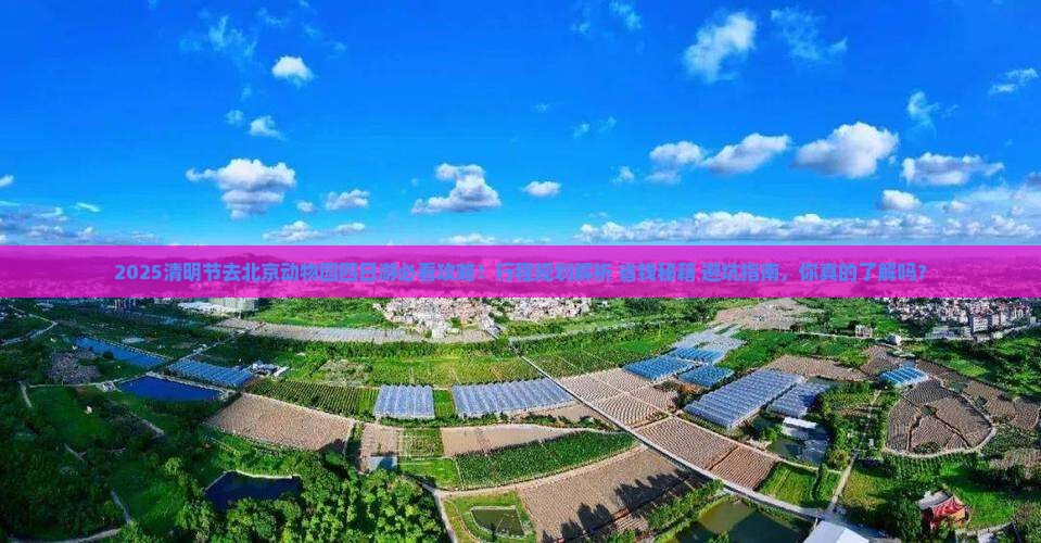 清明节去北京动物园四日游