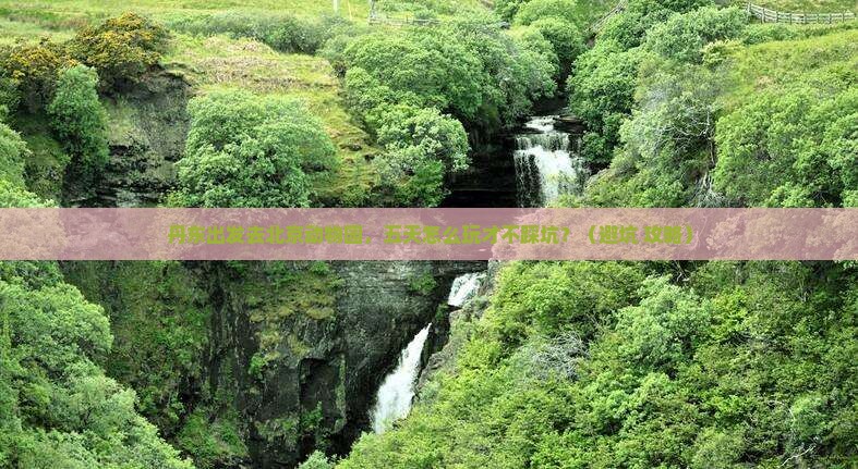 丹东去北京动物园五日游