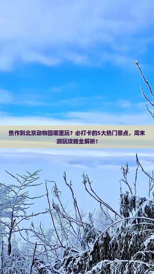 焦作到北京动物园哪里玩