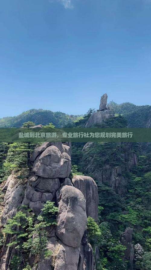 盐城到北京动物园旅行社