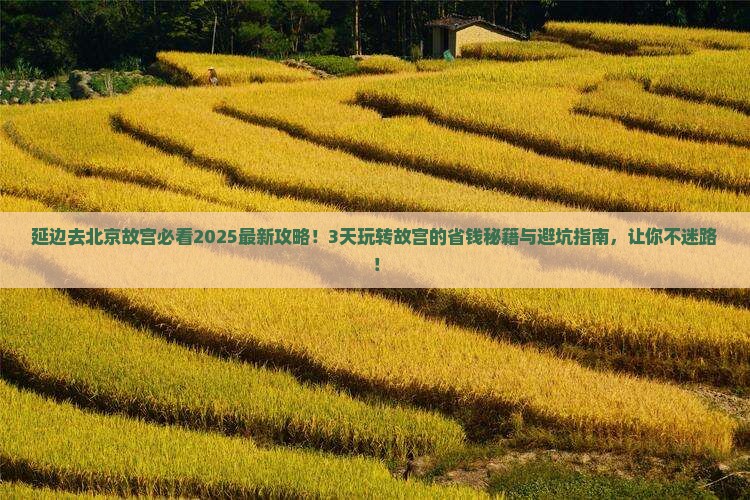 延边去北京故宫博物院旅行社