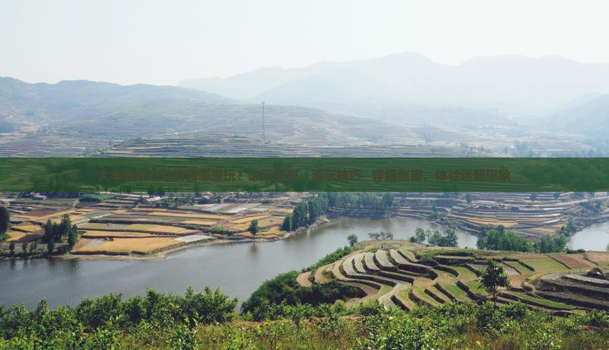 大丰去北京动物园哪里玩