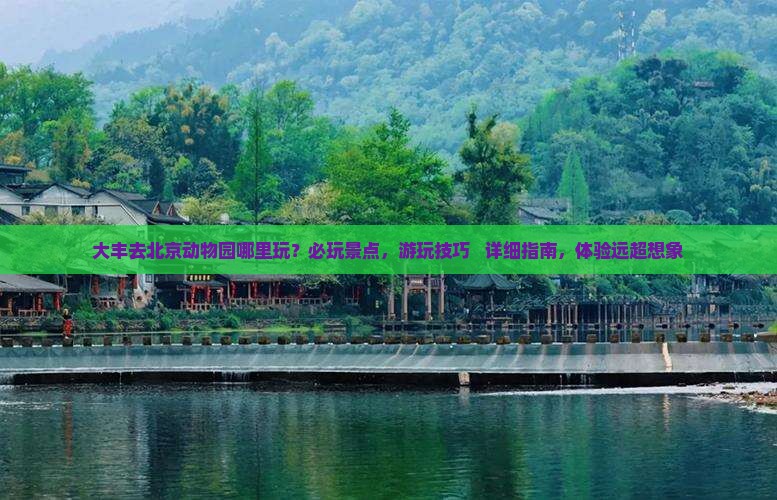 大丰去北京动物园哪里玩