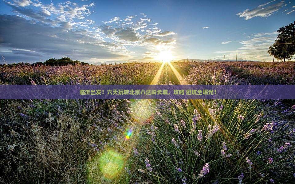 临沂去北京八达岭长城六日游
