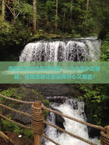 合肥去北京动物园旅游小吃