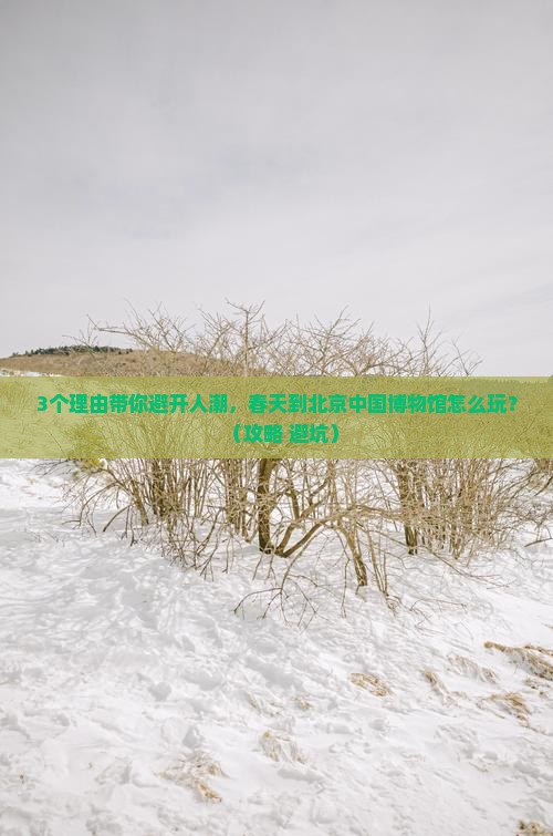春天到北京中国国家博物馆旅行社
