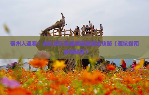 宿州到北京环球度假区大型旅游团