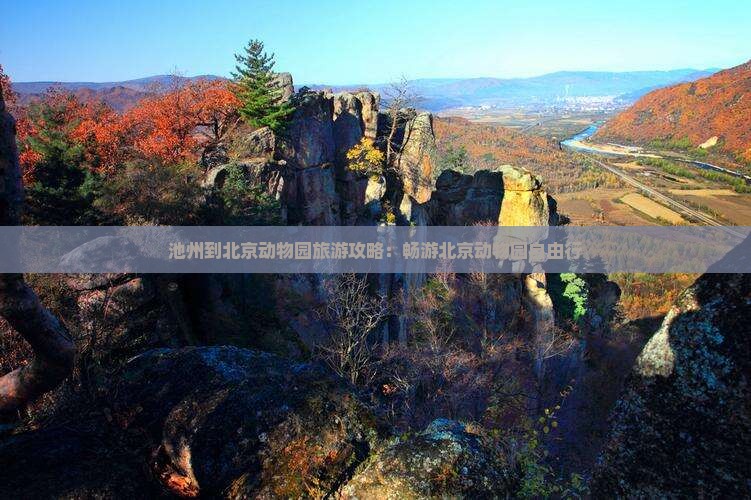 池州到北京动物园自由行