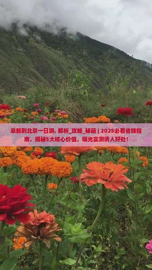 阜新到北京一日游