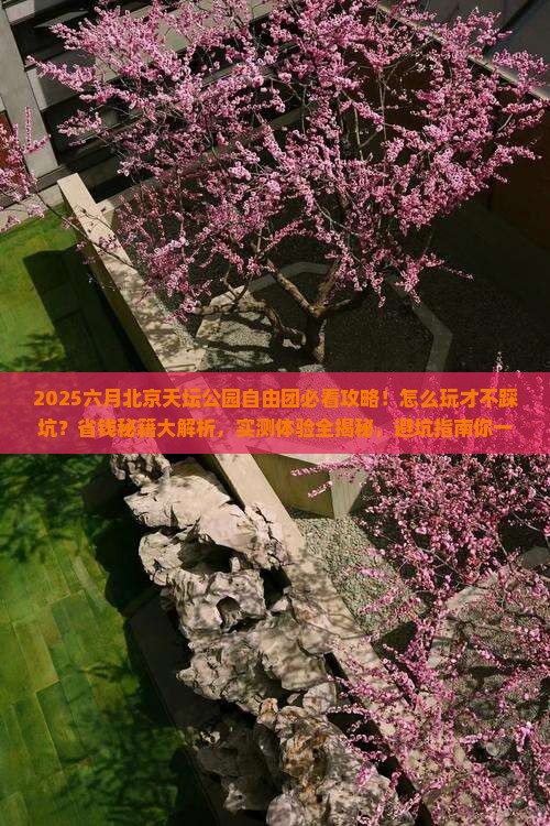 六月到北京天坛公园自由团