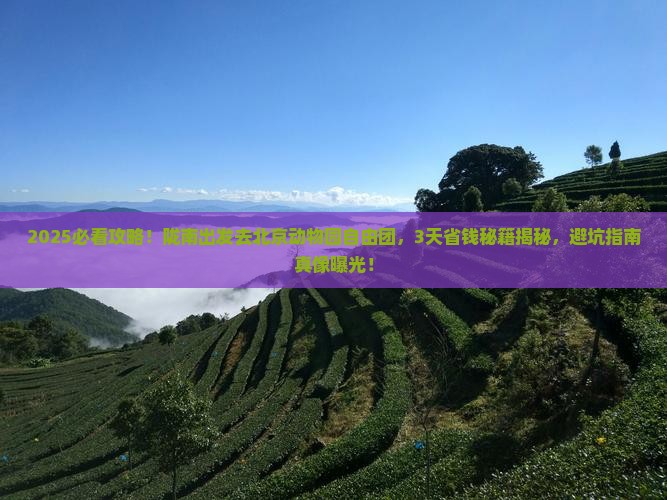 陇南去北京动物园自由团