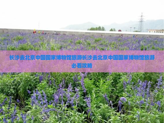 长沙去北京中国国家博物馆旅游