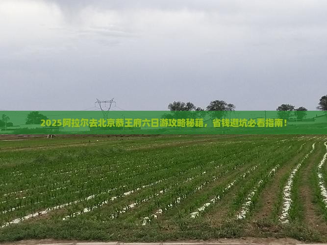 阿拉尔去北京恭王府六日游