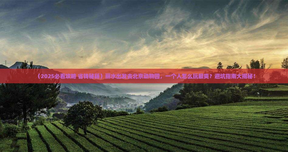 丽水到北京动物园个人游