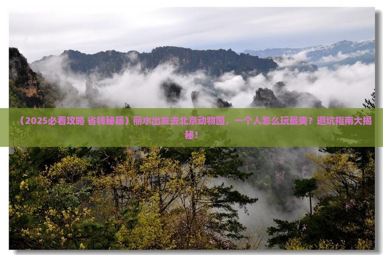 丽水到北京动物园个人游