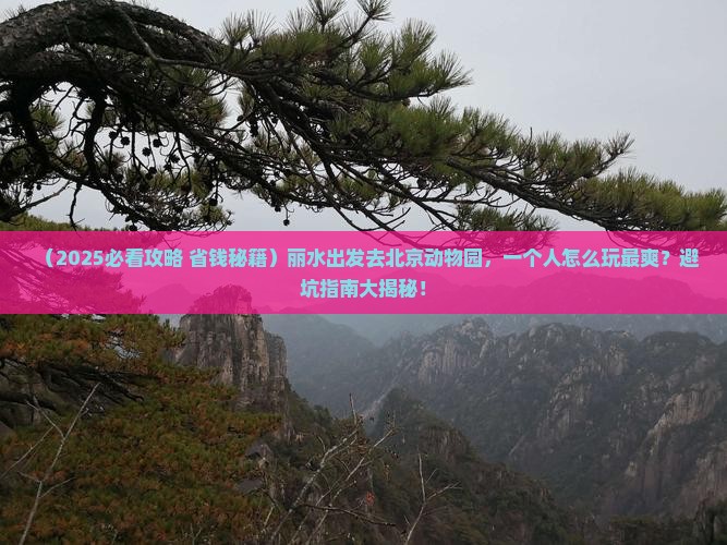丽水到北京动物园个人游