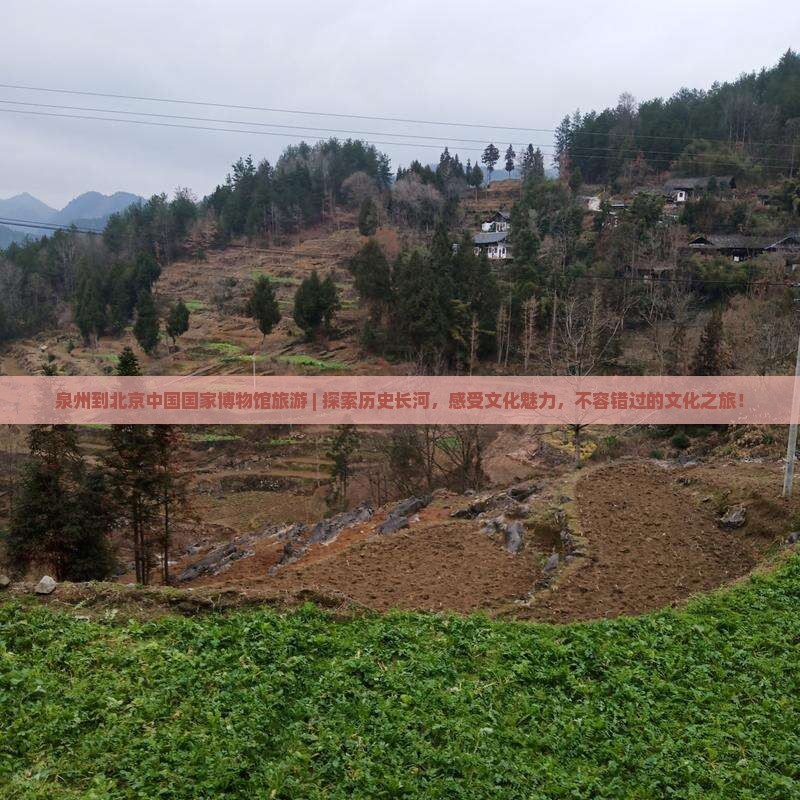 泉州到北京中国国家博物馆旅游