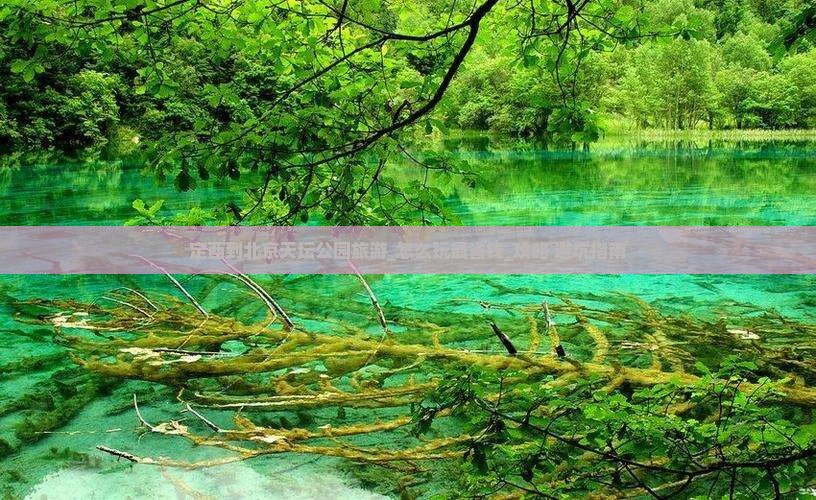 定西到北京天坛公园旅游
