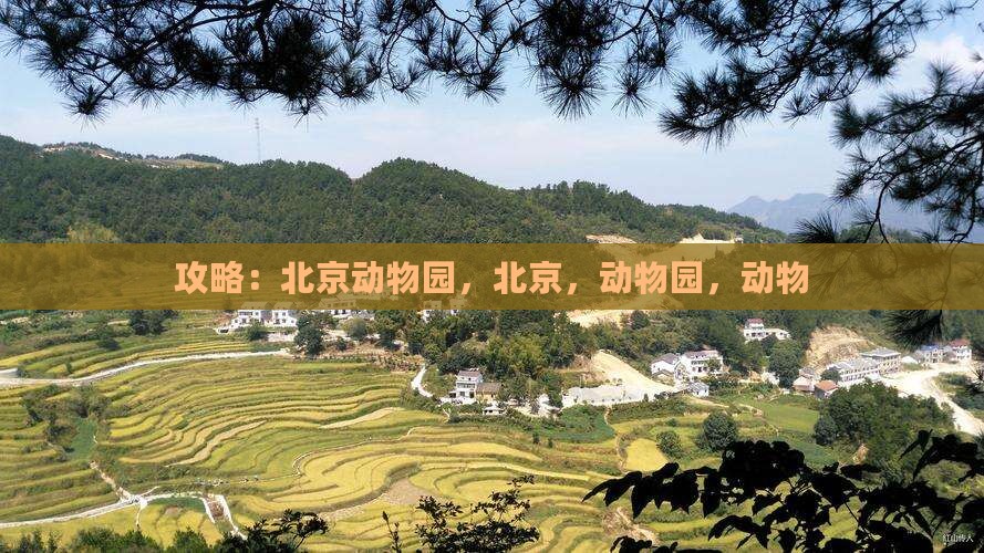 莆田到北京动物园攻略