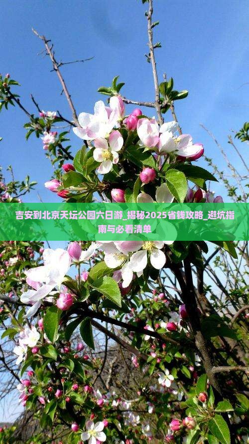 吉安到北京天坛公园六日游