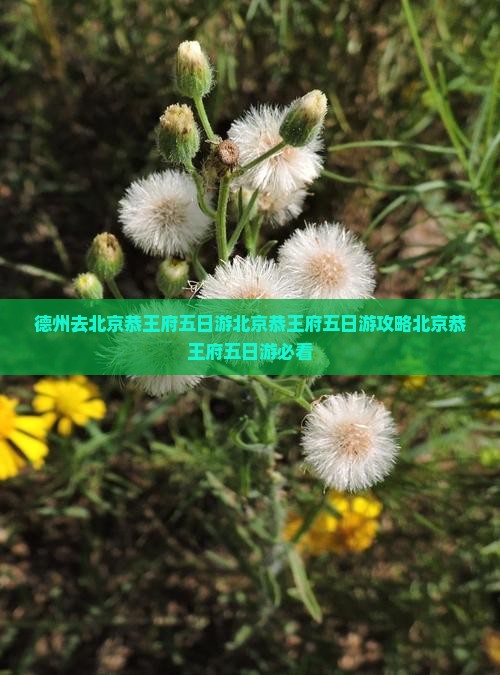 德州去北京恭王府五日游