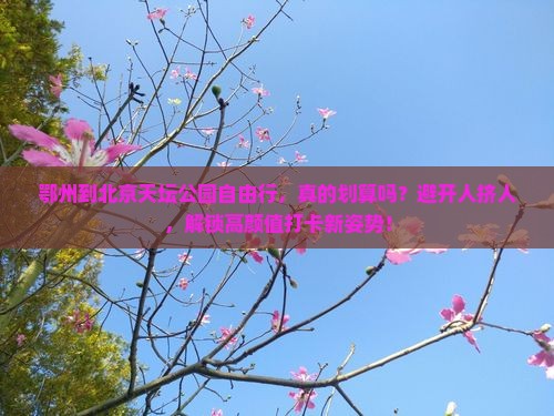 鄂州到北京天坛公园自由行