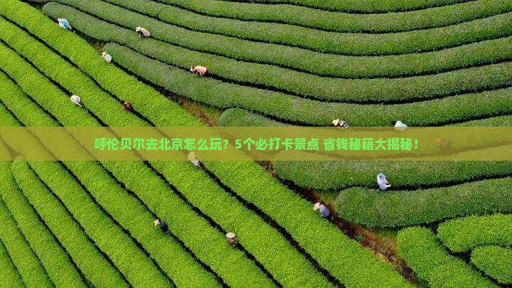 呼伦贝尔去北京哪里玩