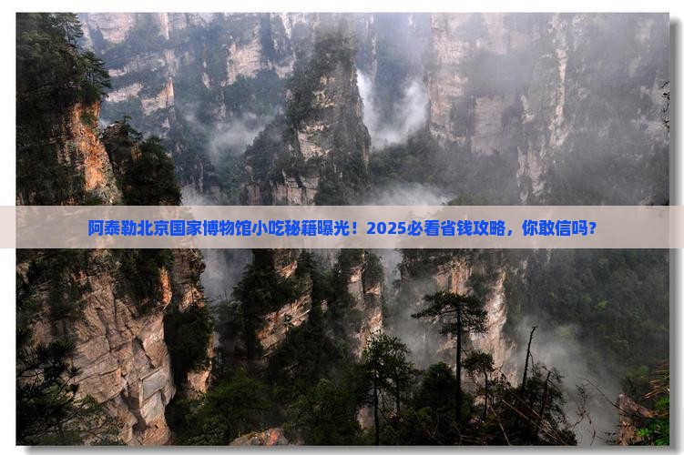 阿泰勒去北京中国国家博物馆旅游小吃