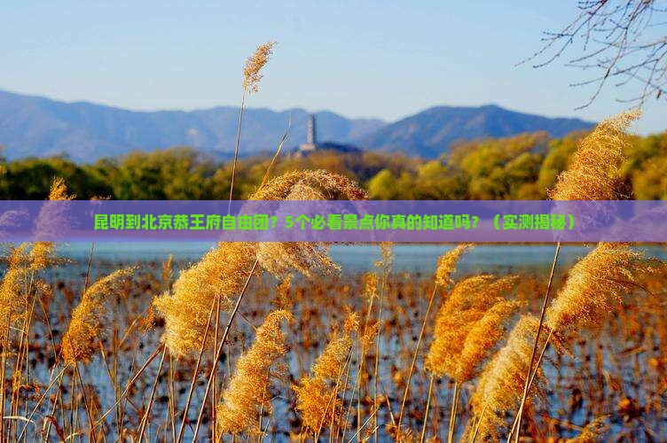昆明到北京恭王府自由团