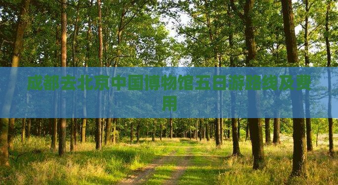 成都去北京中国国家博物馆五日游