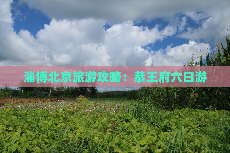 淄博去北京恭王府六日游