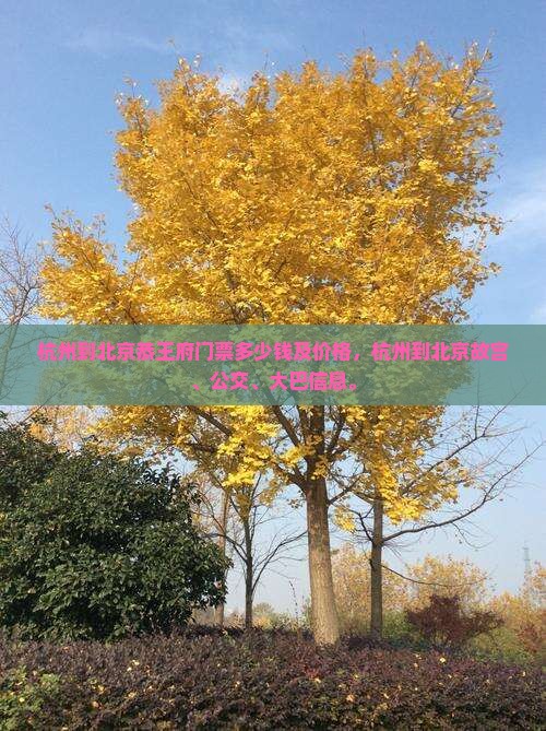 杭州到北京恭王府门票