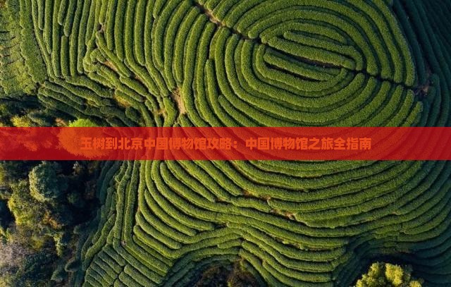 玉树到北京中国国家博物馆哪里玩
