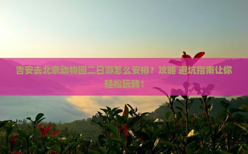 吉安去北京动物园二日游