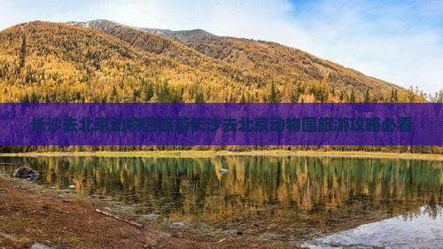 长沙去北京动物园旅游