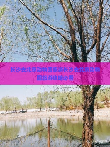 长沙去北京动物园旅游