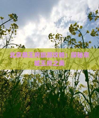 抚州去北京恭王府景点