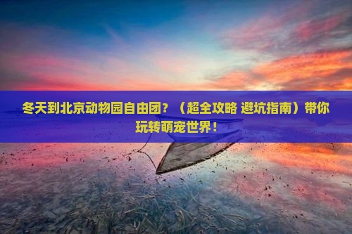冬天到北京动物园自由团
