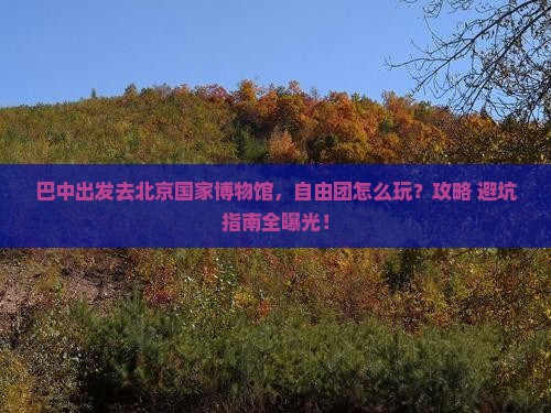 巴中去北京中国国家博物馆自由团