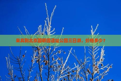 来宾到北京圆明园遗址公园三日游