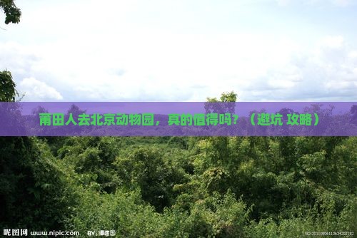 莆田去北京动物园旅游