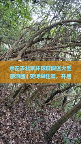 崇左去北京环球度假区大型旅游团