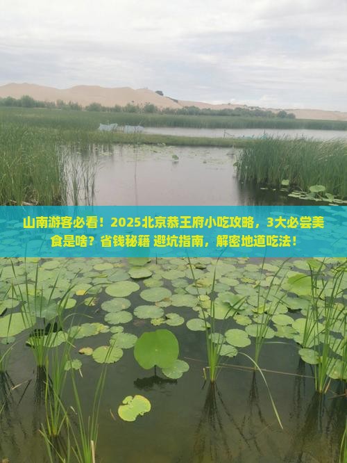 山南去北京恭王府旅游小吃