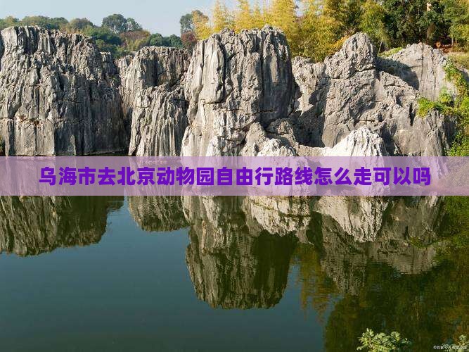 乌海市去北京动物园自由行