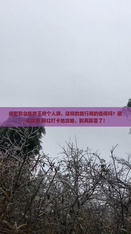 德宏到北京恭王府个人游